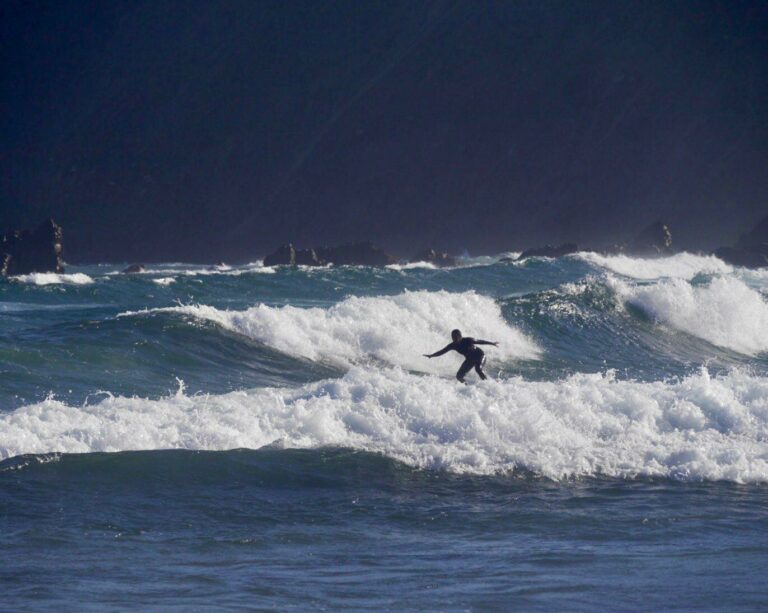 do you have what it takes? surf west coast surf guide algarve