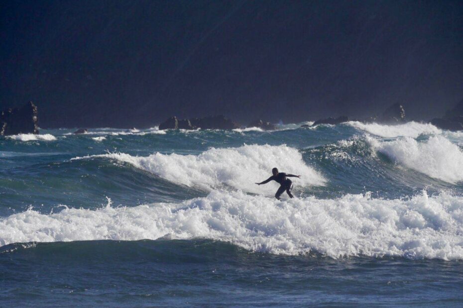 do you have what it takes? surf west coast surf guide algarve