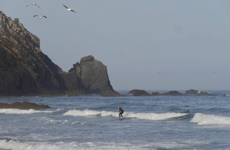 early bird catches the wave surf guide algarve castelejo