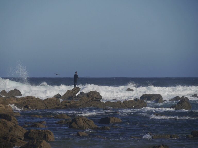 fisherman surf guide algarve west coast