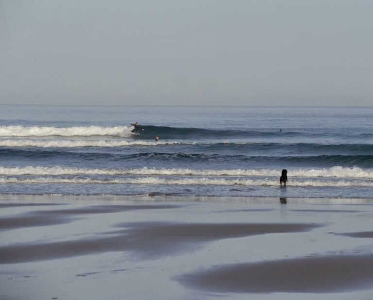 clean perfect small waves cordoama surf guide algarve