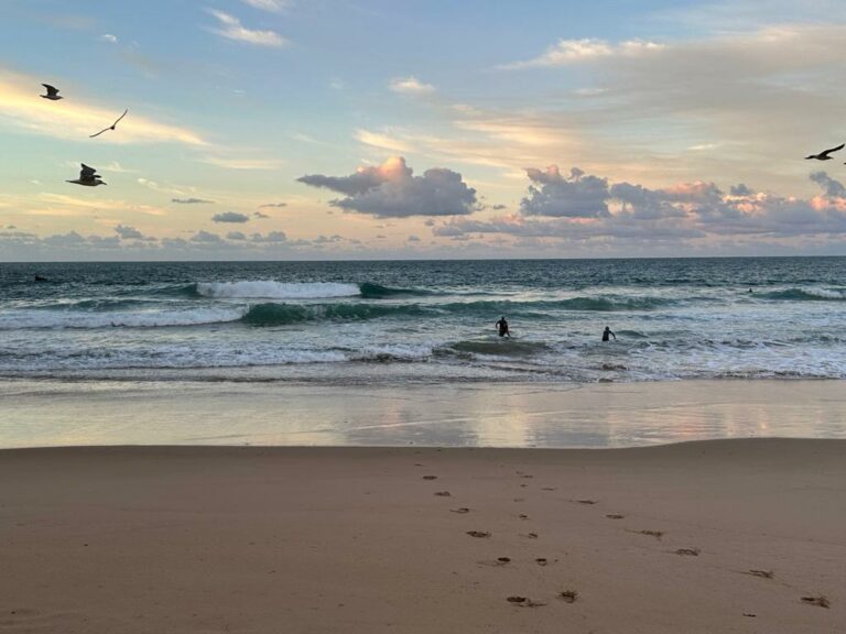 surf guide algarve early birds beliche