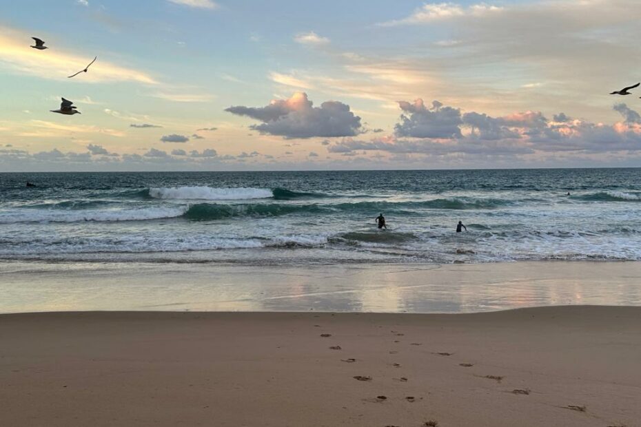 surf guide algarve early birds beliche