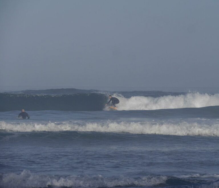 the king is back surfing west coast waves surf guide algarve