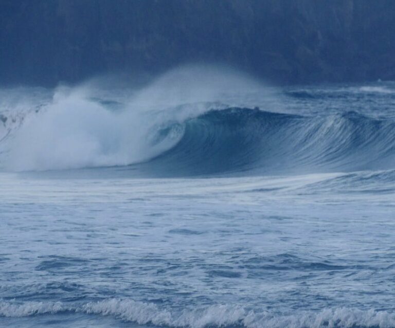 hollow left surfing west coast surf guide algarve