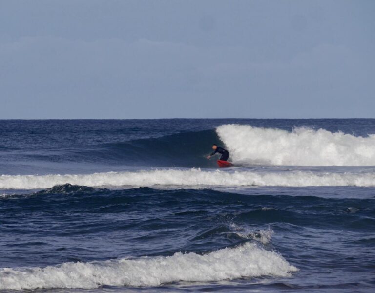 perfect waves west coast surf guide algarve