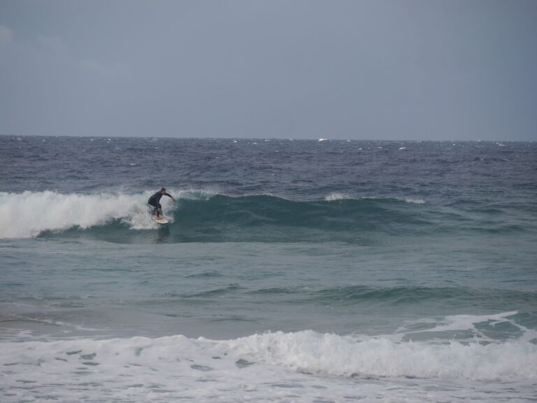 riders on the storm surf guide algarve