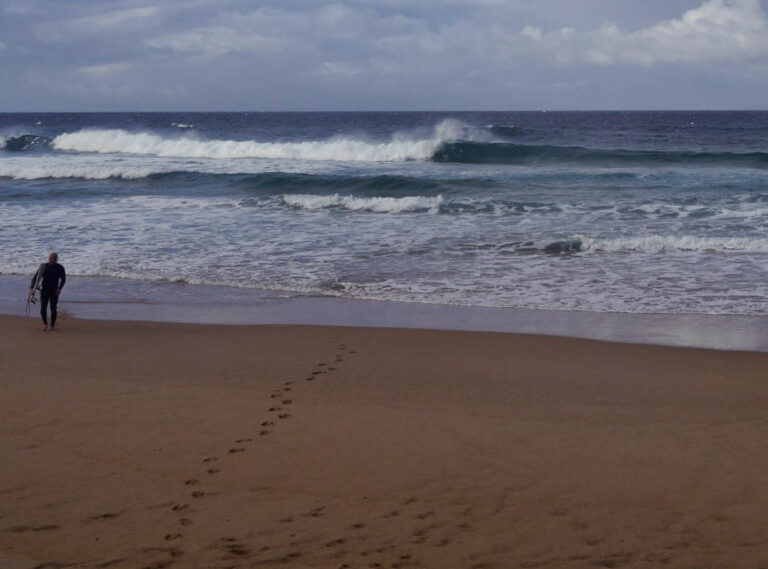 surf guide algarve session only ones out