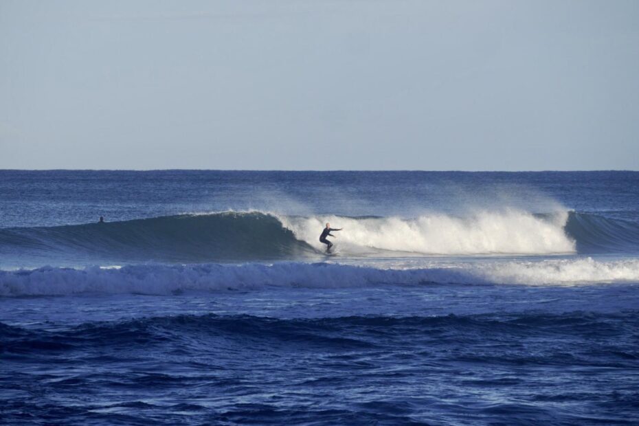 wave of the day surf guide algarve guest