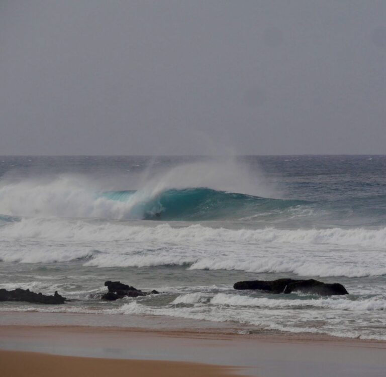 pro boogie boarder tonel sagres surf guide algarve