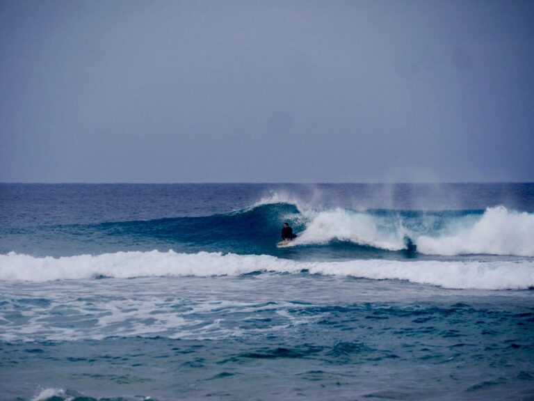 west coast surf session with surf guide algarve