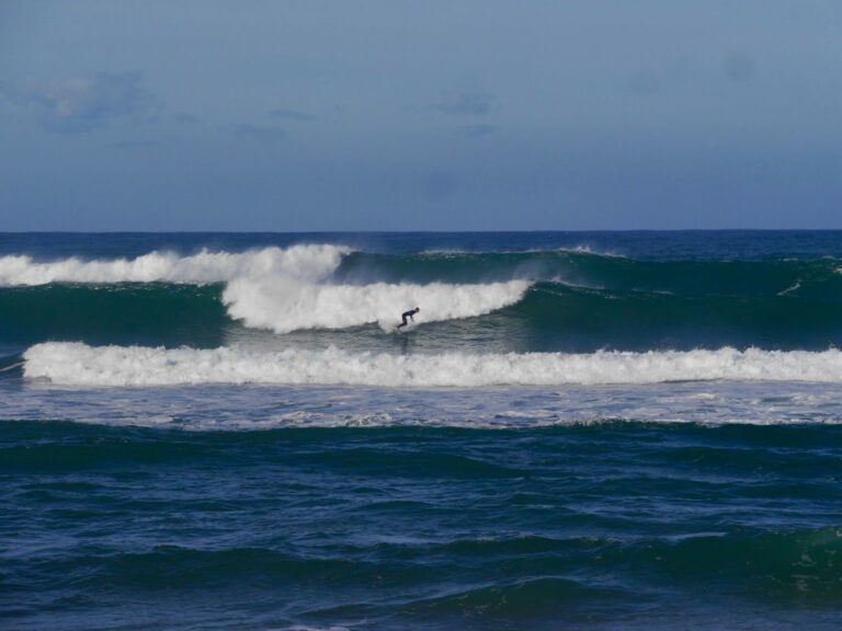 big west coast action surf guide algarve