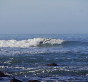local ripper mattias showing how its done in arrifana with surf guide algarve