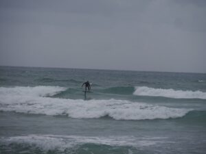 riders on the storm foil surfer and birds surf guide algarve
