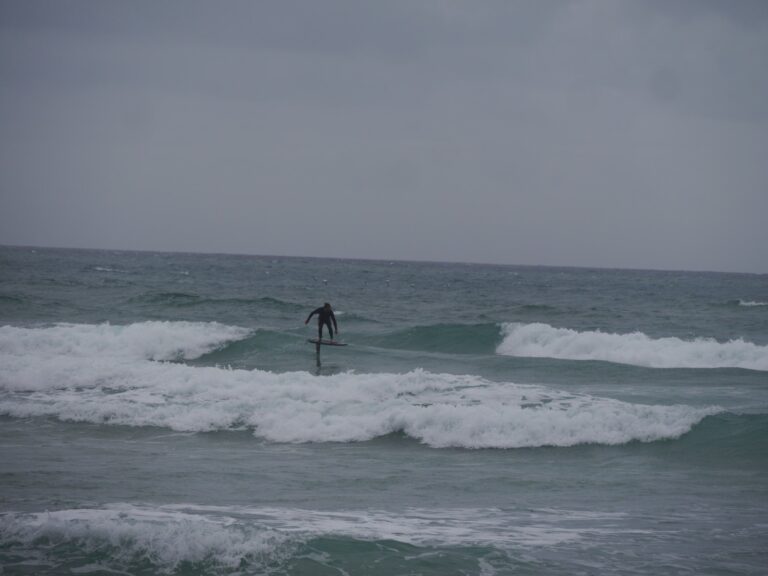 riders on the storm foil surfer and birds surf guide algarve