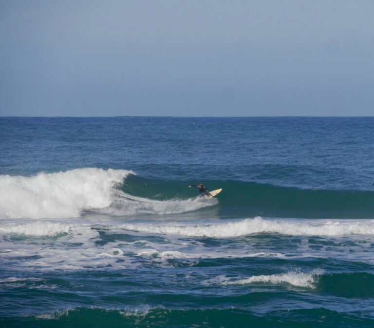 surf guide algarve backside carve west coast