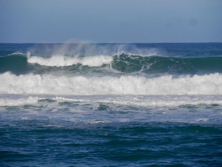 west coast serious size surf guide algarve