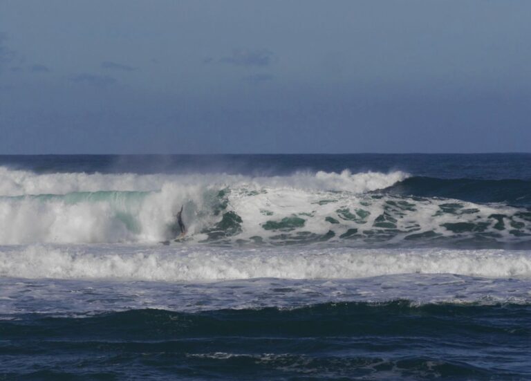 wipe-out of the day surf guide algarve big wave