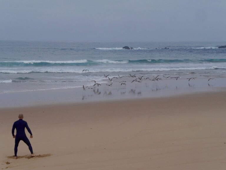 early birds surf guide algarve warm up