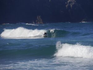 pick dog left hander surf guide algarve and friends
