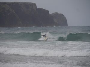 wipe out of the day surf guide algarve west coast