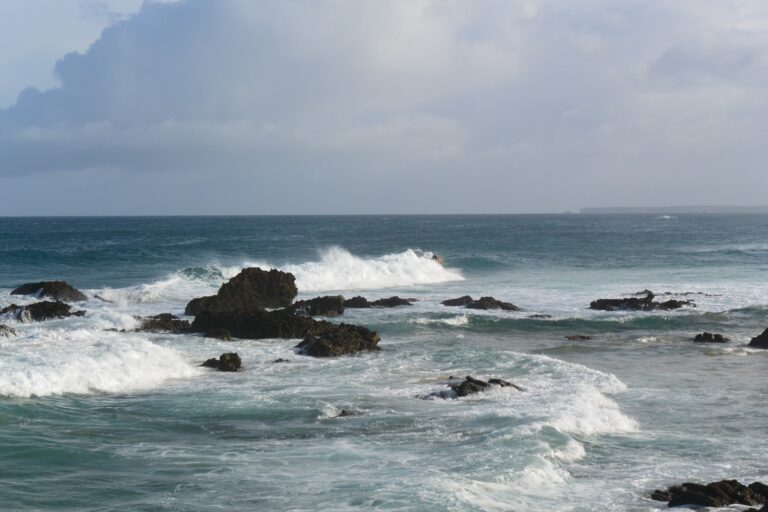 long lefts at castelejo surf guide algarve