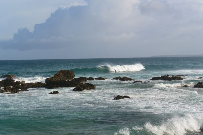 perfect session with surf guide algarve at castelejo